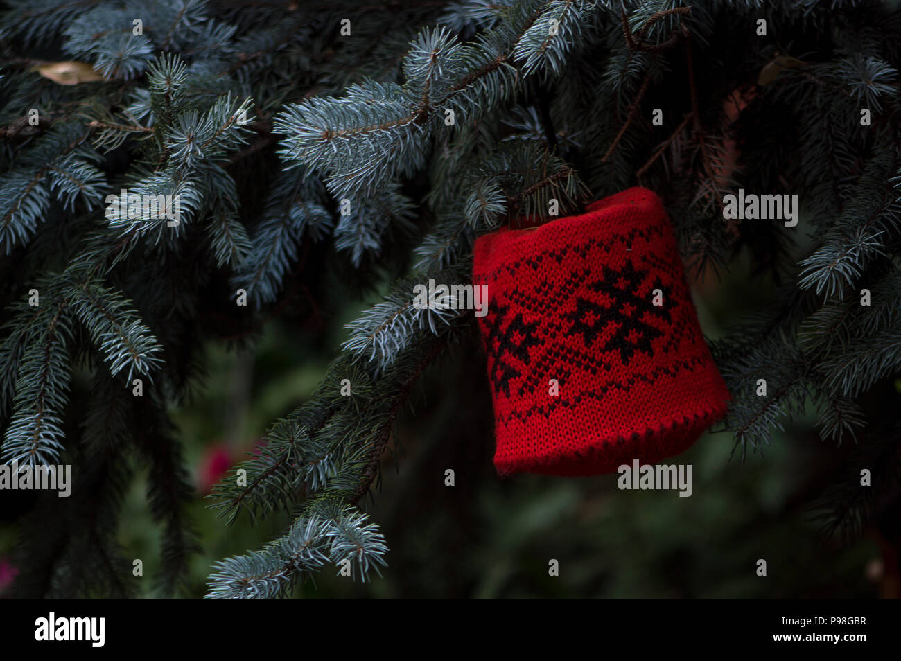 Gestrickte Weihnachten Glocke mit volkstümlichen Ornamenten in roter Farbe zu einer Fir Tree Branch als Weihnachten Dekoration befestigt Stockfoto