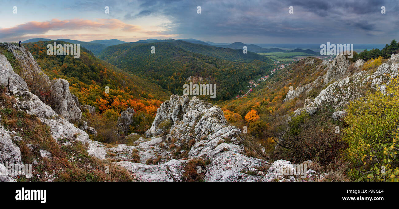Herbst Wald Bergpanorama Stockfoto