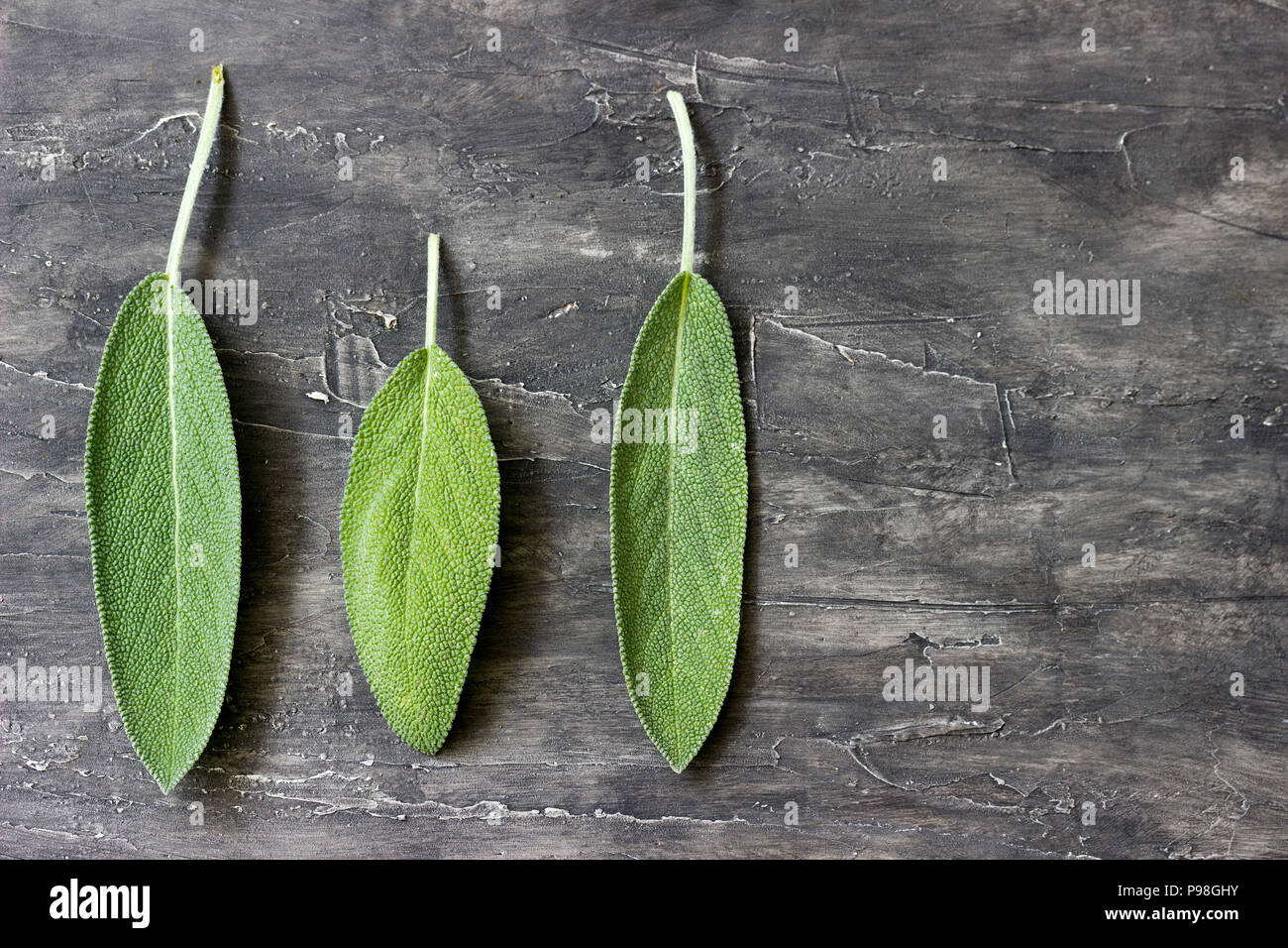 Drei Blätter des duftenden Salbei auf einem hölzernen Hintergrund Stockfoto