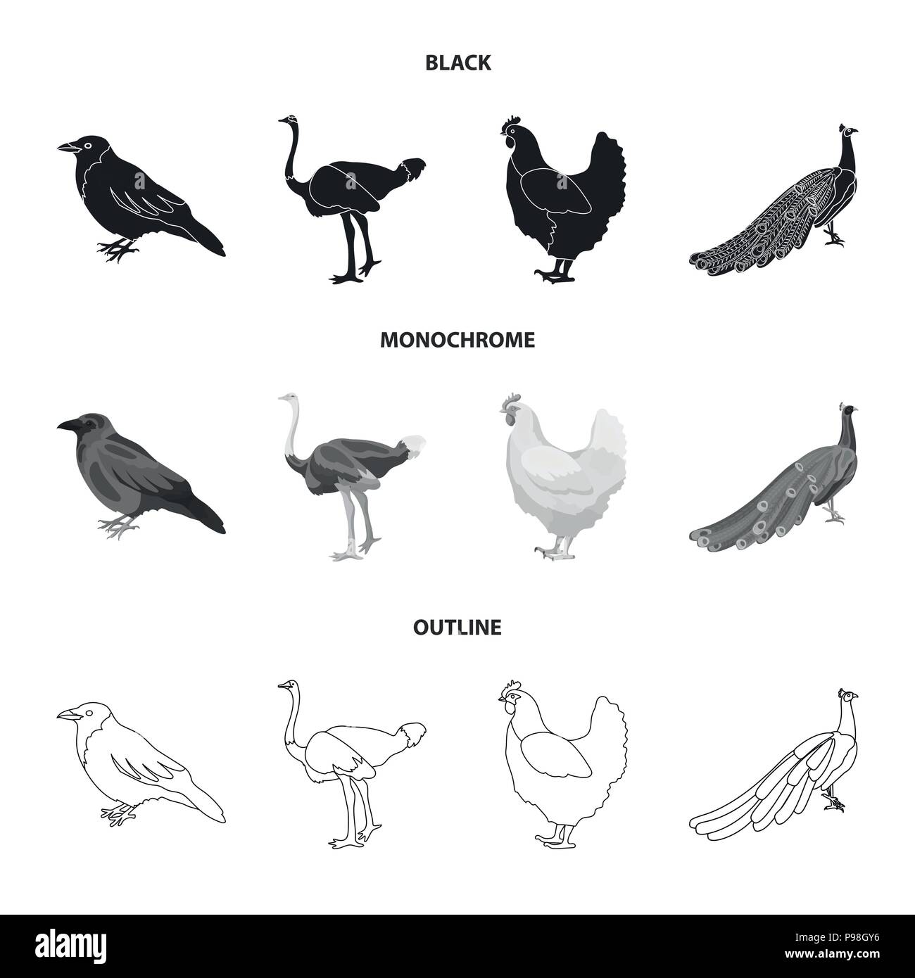 Crow, Strauß, Huhn, Pfau. Vögel stellen Sammlung Icons in Schwarz, monochrom, Outline style Vektor Symbol lieferbar Abbildung. Stock Vektor