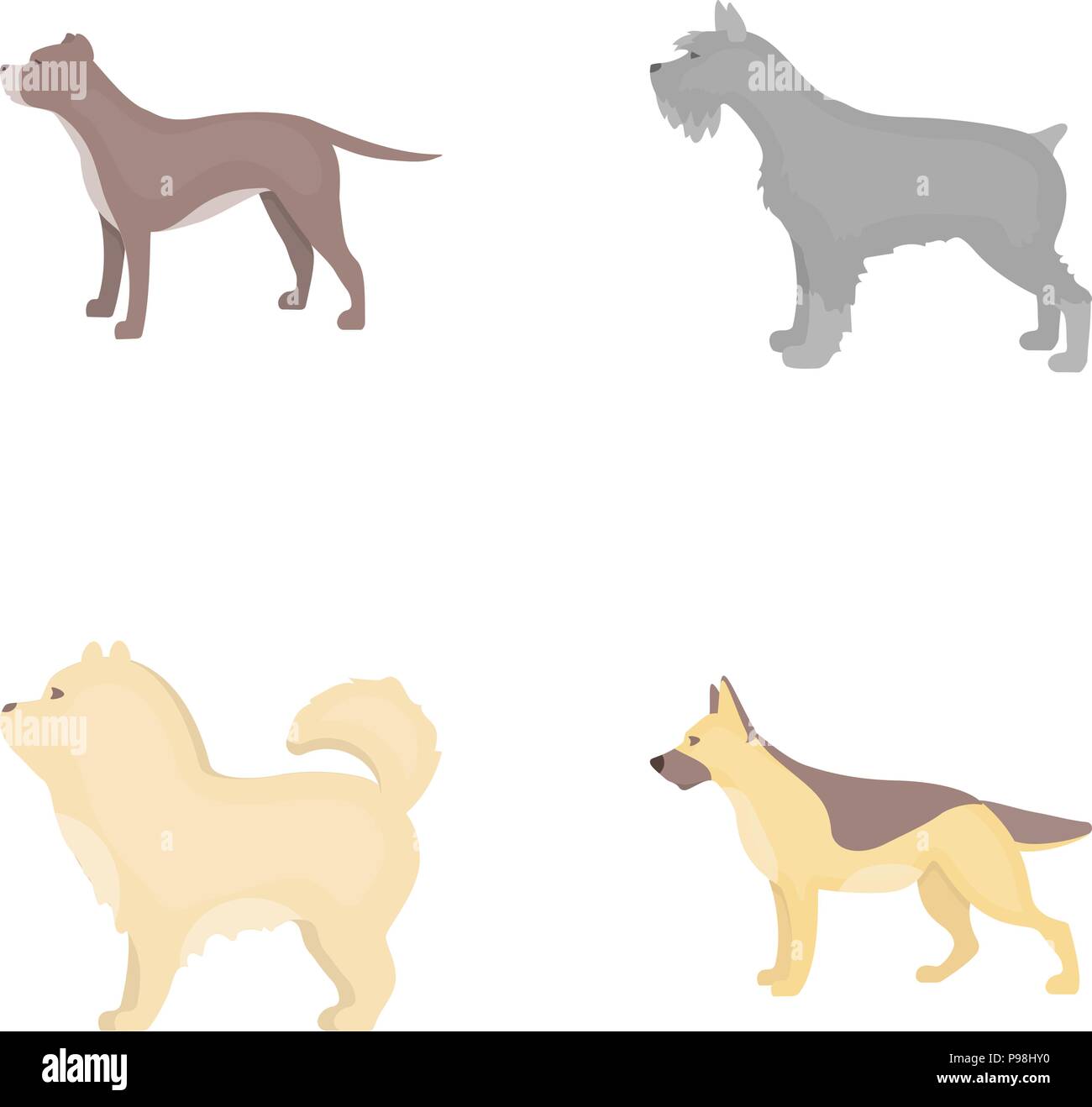 Pit Bull, Deutscher Schäferhund, Chow Chow, Schnauzer. Hunderassen set Sammlung Icons im Comic-stil Vektor Symbol lieferbar Abbildung. Stock Vektor