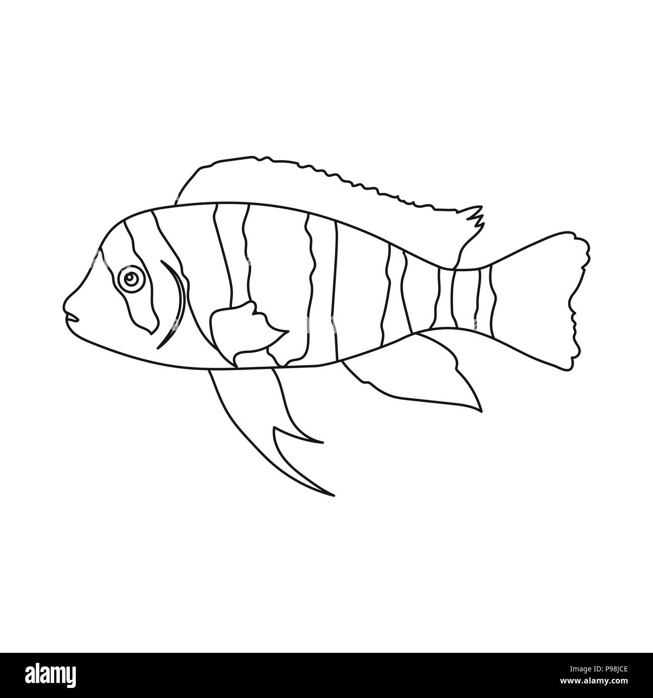 Afrika, Tiere, Aquarium, gebändert, Bars, blau, Rasse, Cartoon, chiclid, cichlid, sauber, cyphotilapia, Osten, Fisch-, Stirn-, Süßwasser, front, Frontosa, grau, Icon, Illustration, Art, See, große, Leben, Logo, Natur, Outline, Pet, Meer, gestreift, Symbol, Tanganjika, transparente, Unterwasser, Vector, Vertikal, Wasser, Web, weiß, Tierwelt, Welt Vektor Vektoren, Stock Vektor