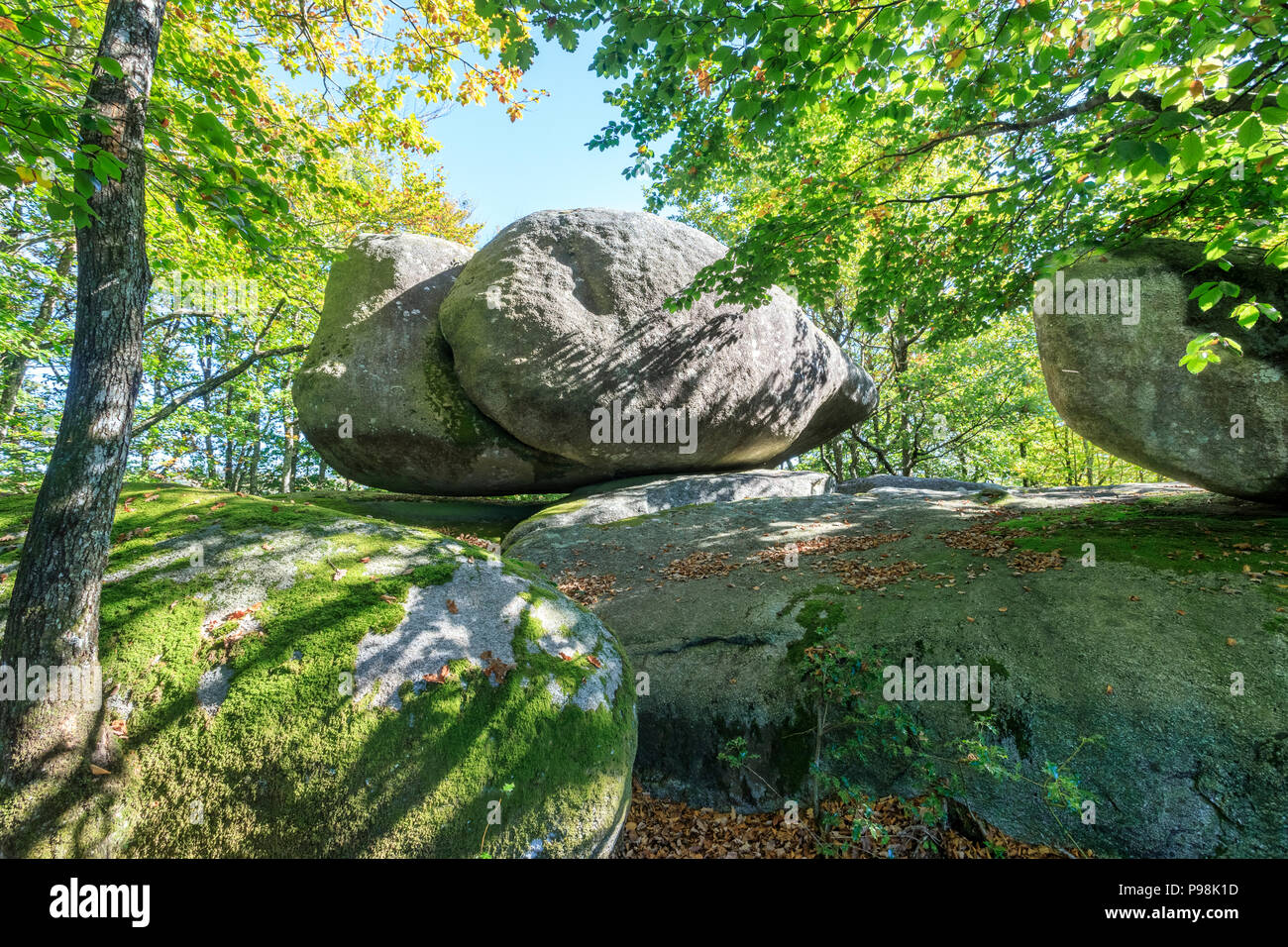 Frankreich, Tarn, im Regionalen Naturpark Haut Languedoc, Saint Salvy de la Balme, Sidobre Massiv, die größte Gruppe von Granitfelsen von Frankreich // Frankreich, Ta Stockfoto