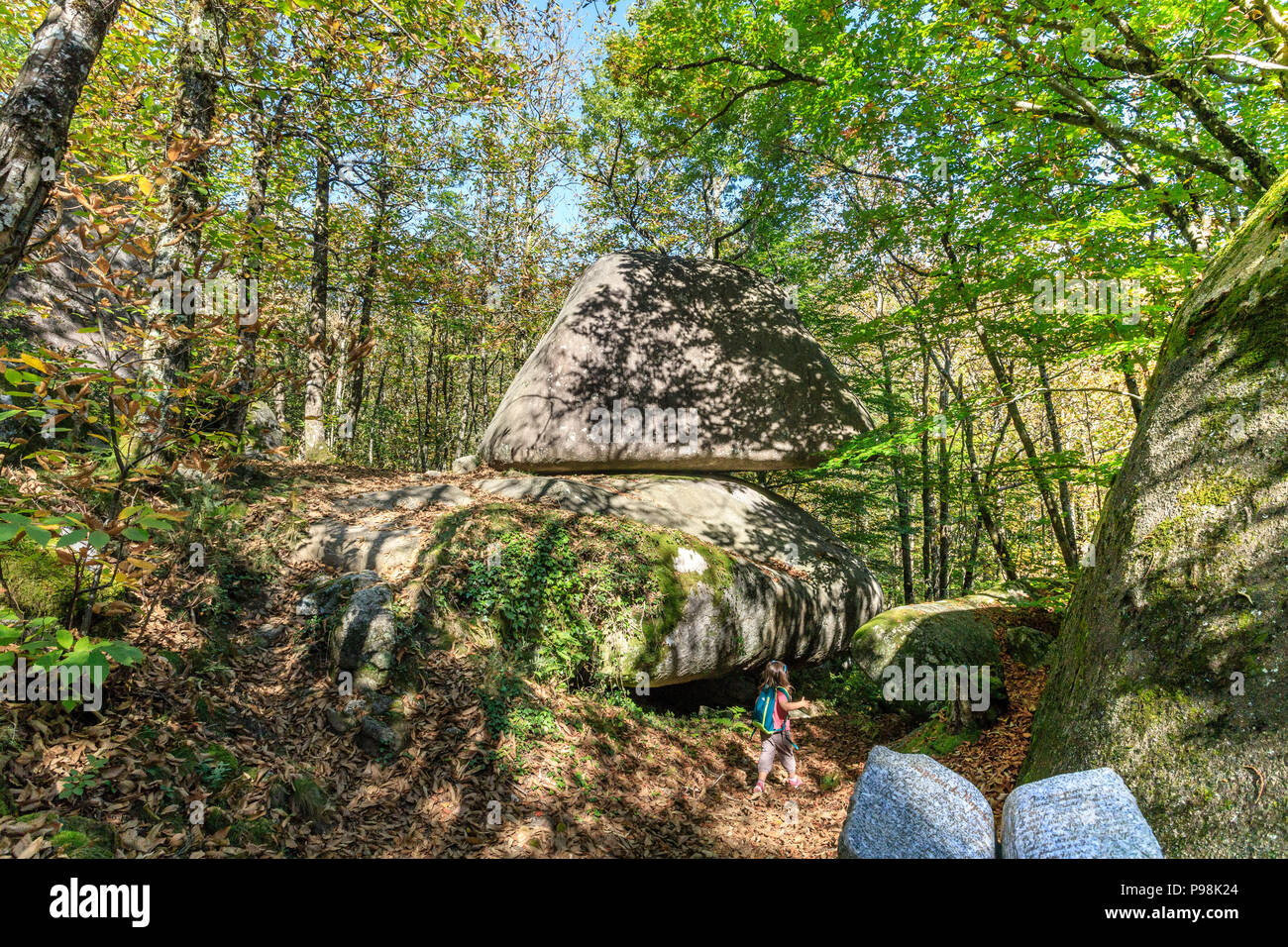 Frankreich, Tarn, im Regionalen Naturpark Haut Languedoc, Saint Salvy de la Balme, Sidobre Massiv, die größte Gruppe von Granitfelsen von Frankreich // Frankreich, Ta Stockfoto