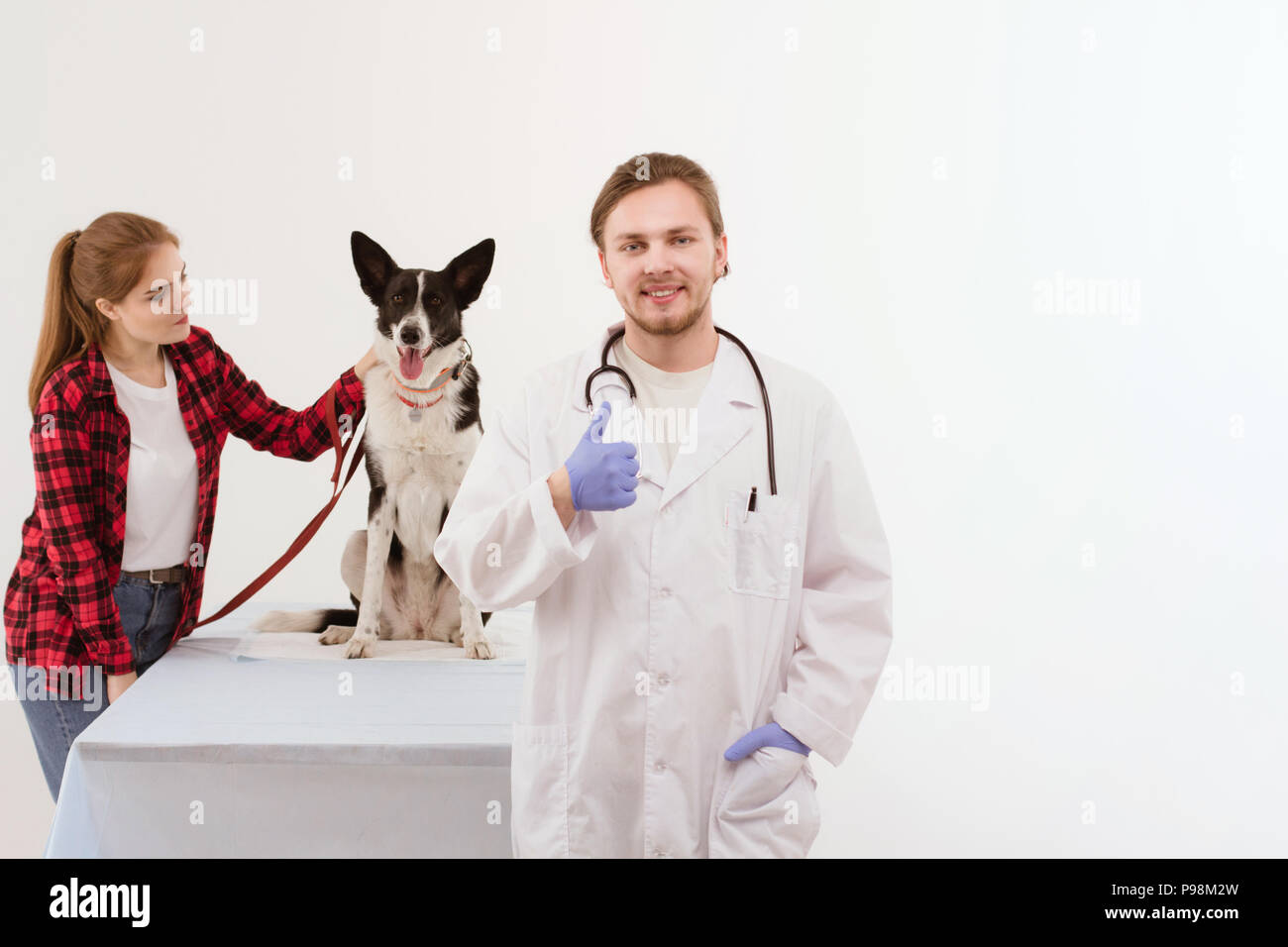 Hund, überprüft auf die berufliche Bildung mit ihrem Besitzer. Stockfoto