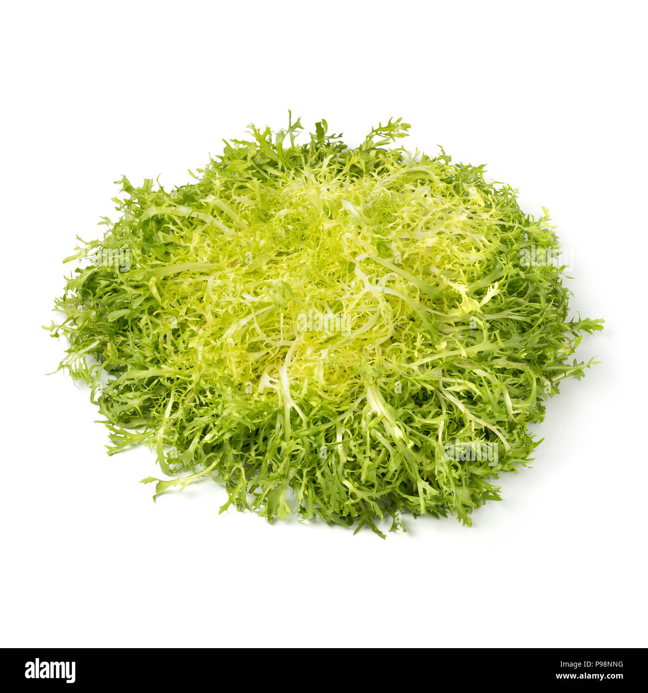 Leiter der frisch frisee Salat auf weißem Hintergrund Stockfoto