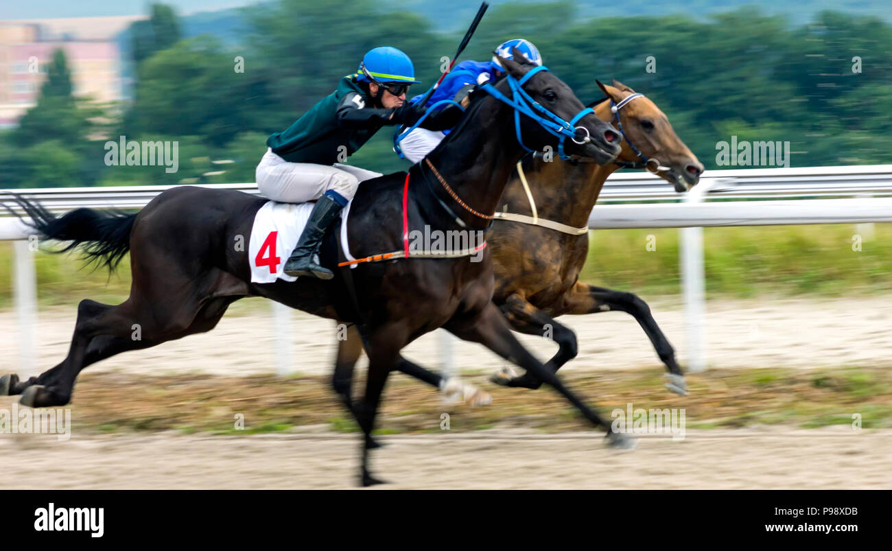 PYATIGORSK, Russland - 15. JULI 2018: Horse Racing für den Preis der Super Sprint in Pyatigorsk, eines der größten und ältesten Pferderennbahnen in Russland. Stockfoto