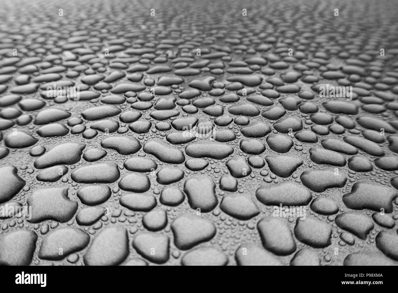 Regenwasser hat unzählige einzelne Perlen von Wasser, die angezeigt werden, versammelt zu haben und in der Ferne verblassen gebildet Stockfoto