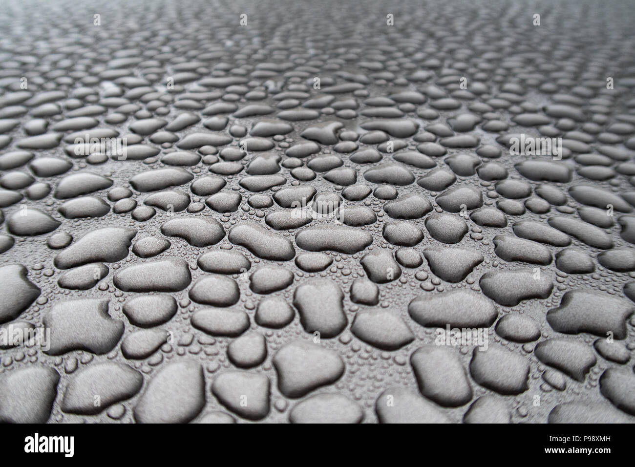 Regenwasser hat unzählige einzelne Perlen von Wasser, die angezeigt werden, versammelt zu haben und in der Ferne verblassen gebildet Stockfoto