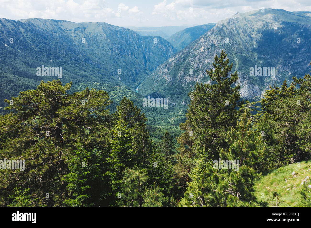 Die Aussicht vom Berg Ćurevac heraus über den Fluss Tara Canyon Nationalpark Durmitor, Montenegro suchen Stockfoto