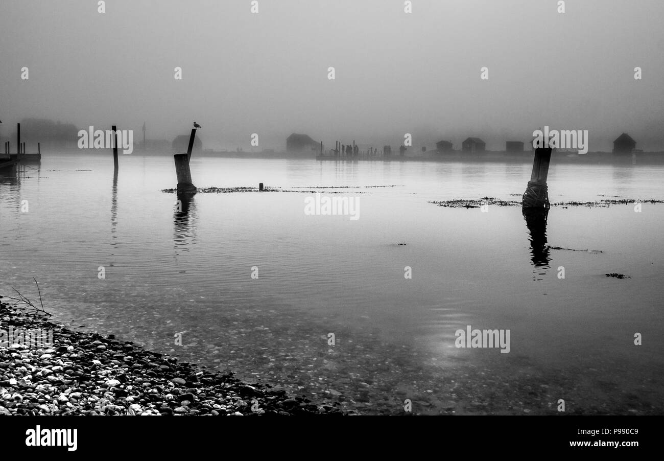 Southwold Hafen im Nebel Stockfoto