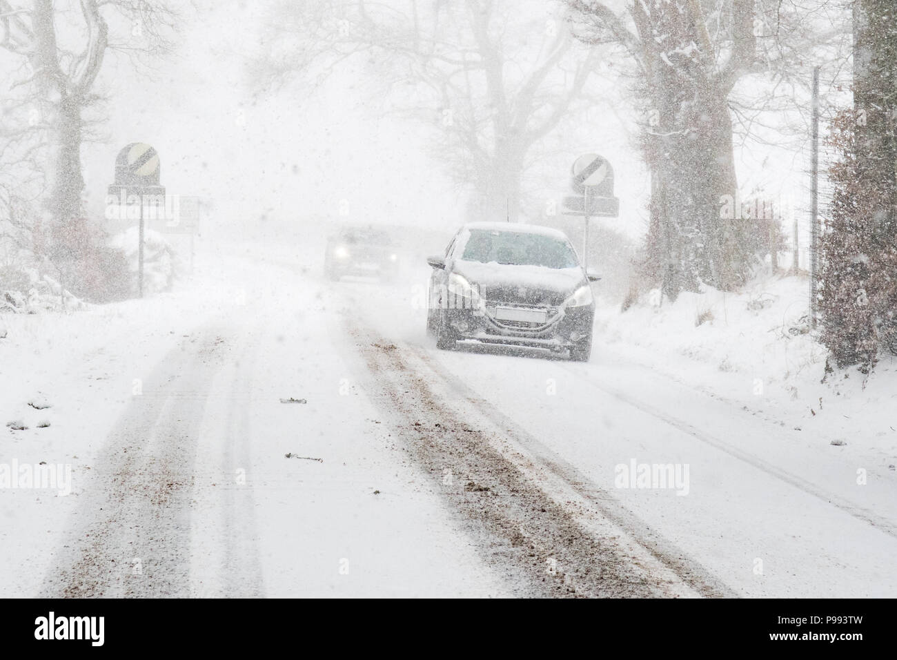Auto Nummernschild verdeckt durch Schnee, wie es durch dichten Schneefall in Schottland, UK Laufwerke Stockfoto