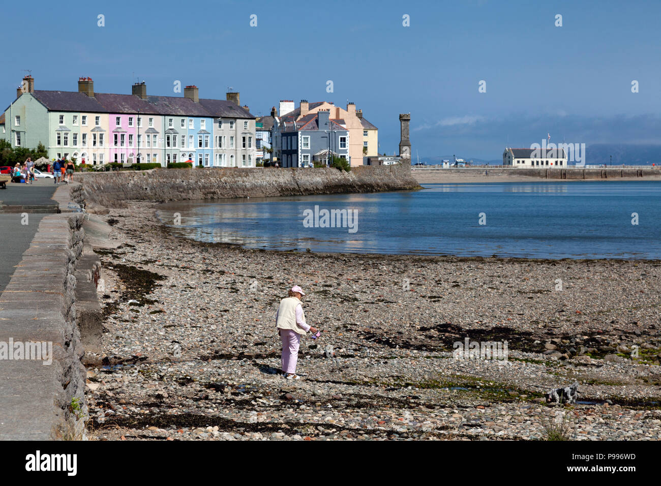 Zeile der Hütten auf der Küstenlinie, Beaumaris, Anglesey, Wales Stockfoto