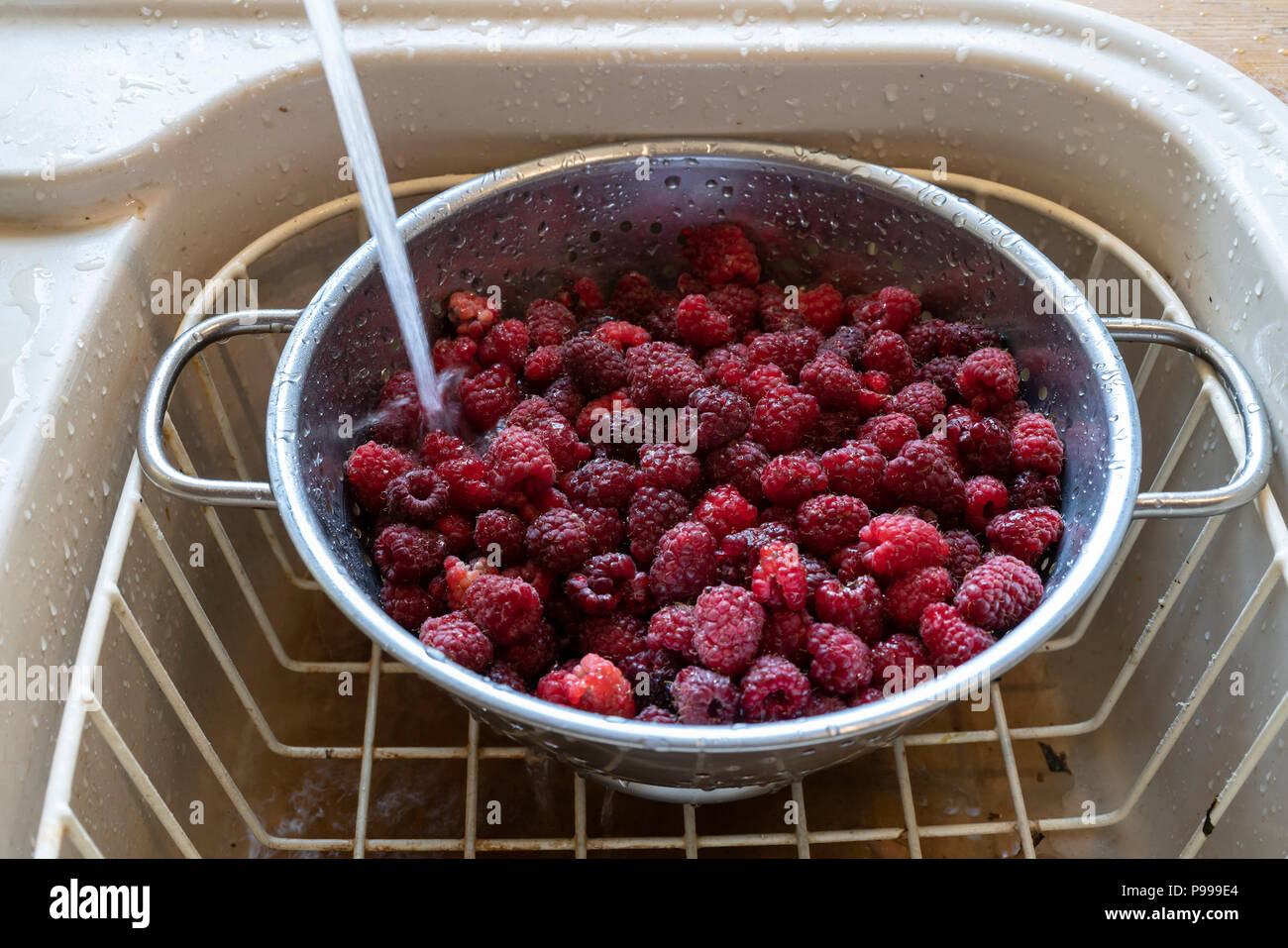 Überschuss garten Himbeeren im Juli - Stau. Waschen der Früchte. Stockfoto