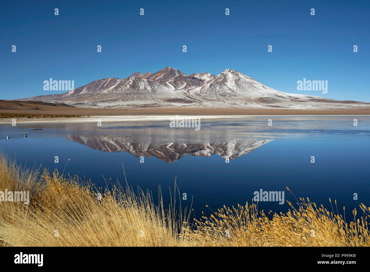 Wasser Reflexion in der Laguna Hedionda (innerhalb von Eduardo Abaroa Fauna der Anden die nationale Reserve), Bolivien. Stockfoto