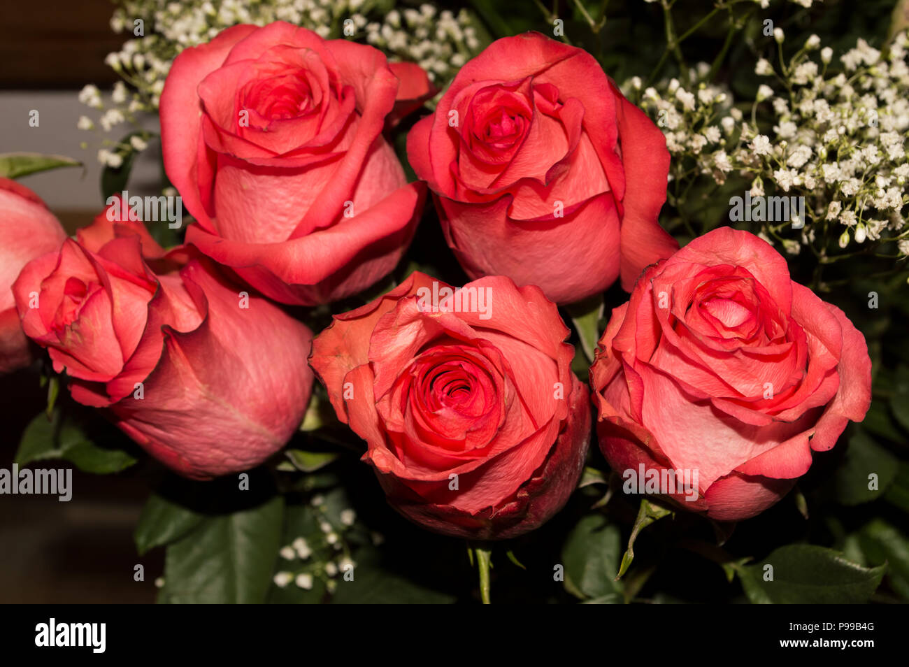 Fünf rosa Rosen in einem Blumenstrauß Stockfoto