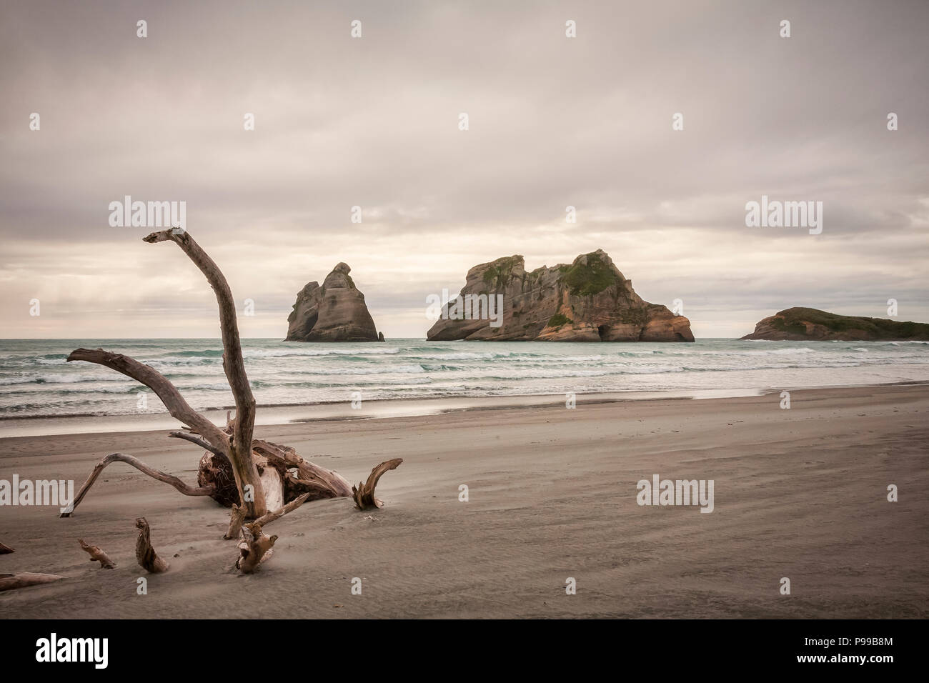 Der Torbogen Inseln weg Wharariki Beach an der Nordspitze der Südinsel Neuseelands. Stockfoto