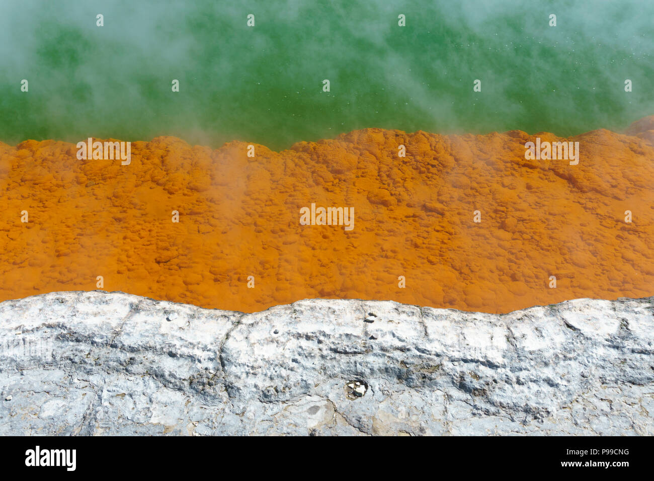 Detail der Rand der Champagne Pool, Wai-O-Tapu geothermale Region, Neuseeland North Island. Die orange Farbe stammt aus Ablagerungen des Arsens. Stockfoto