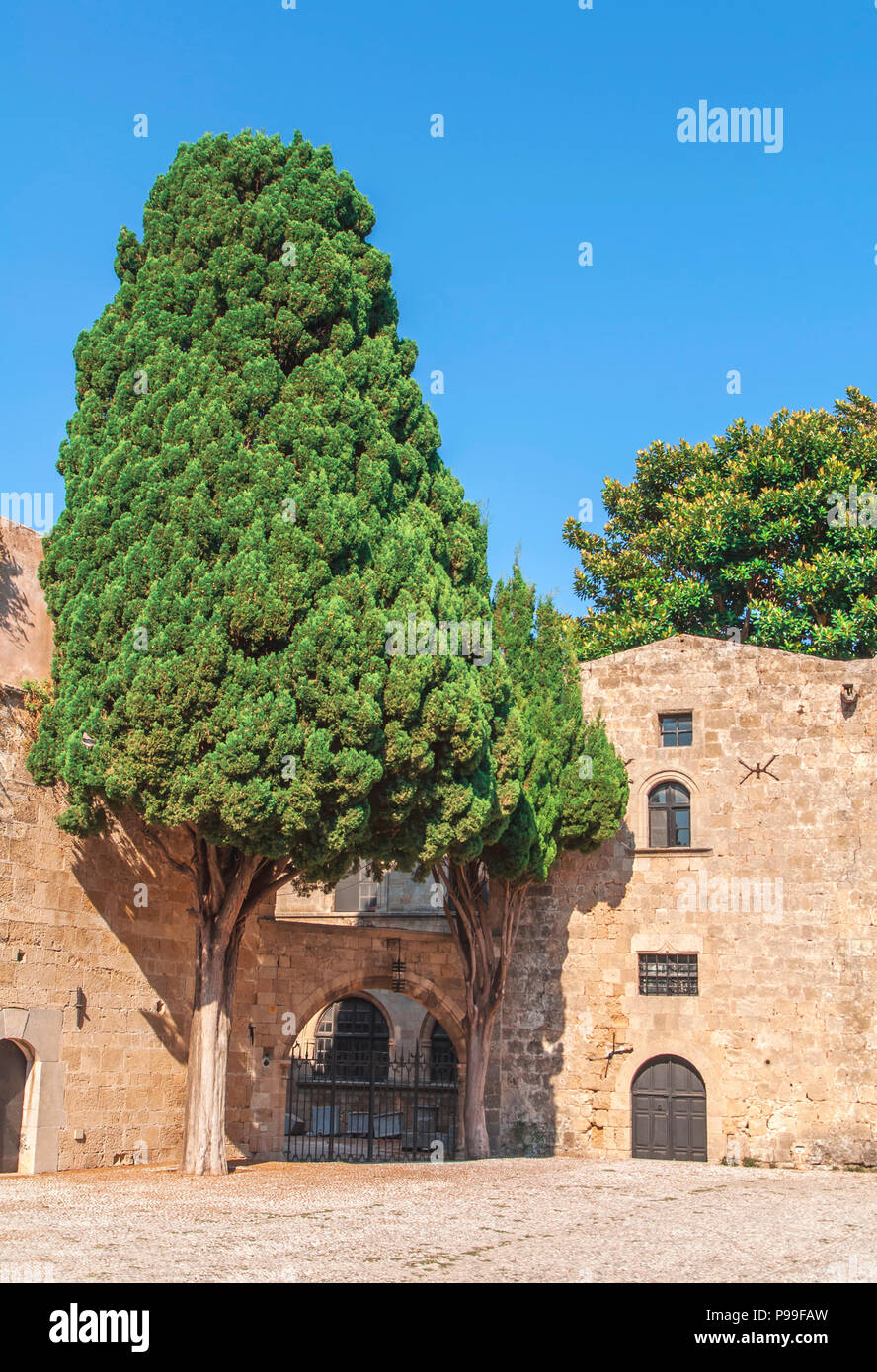 Grüner Baum in Fron der alten Burg Haus mit blauen Clean Sky Stockfoto