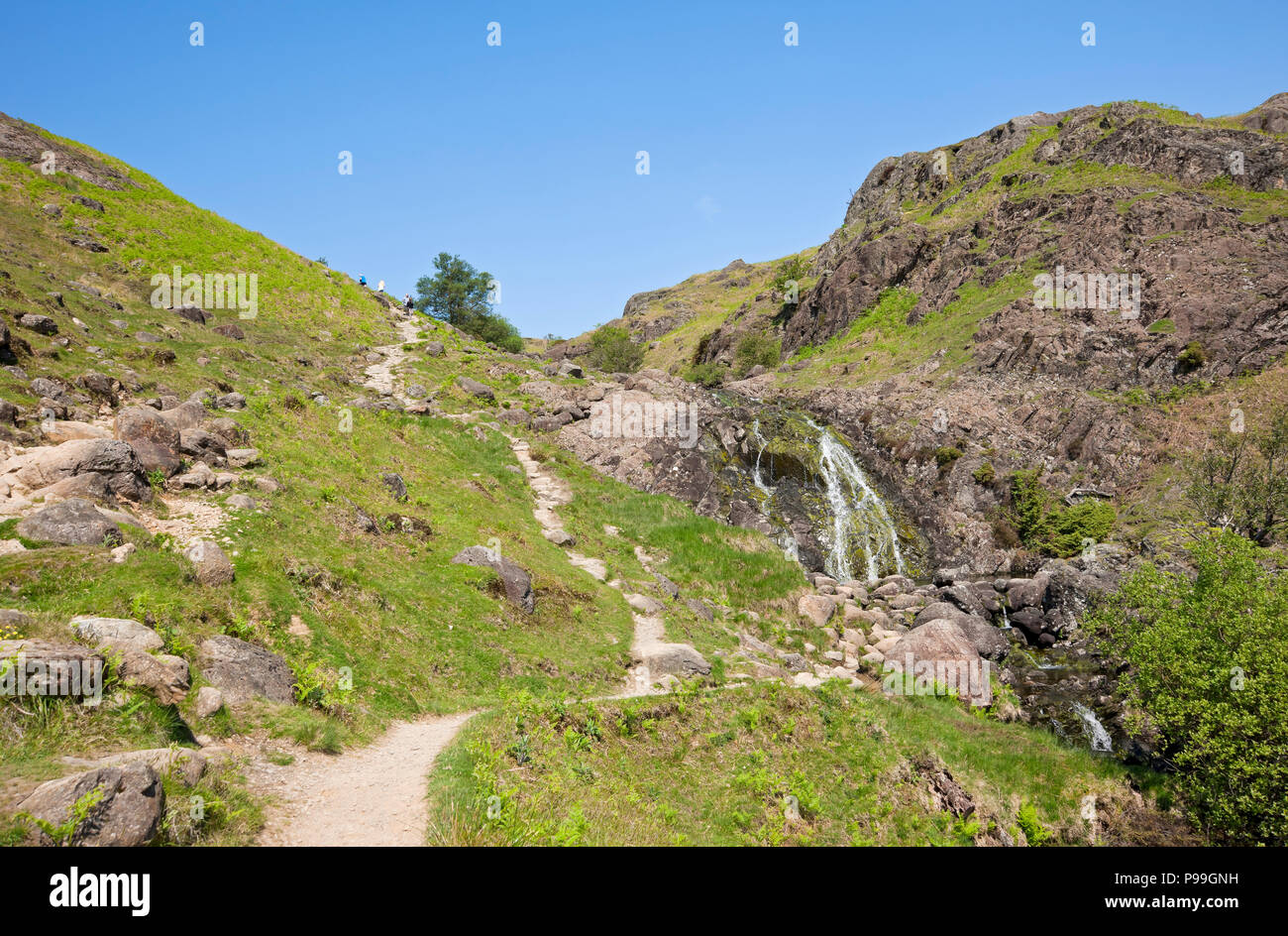 Sauermilchghyll und Fußweg zum Easedale Tarn Lake District National Park Cumbria England Vereinigtes Königreich GB Großbritannien Stockfoto