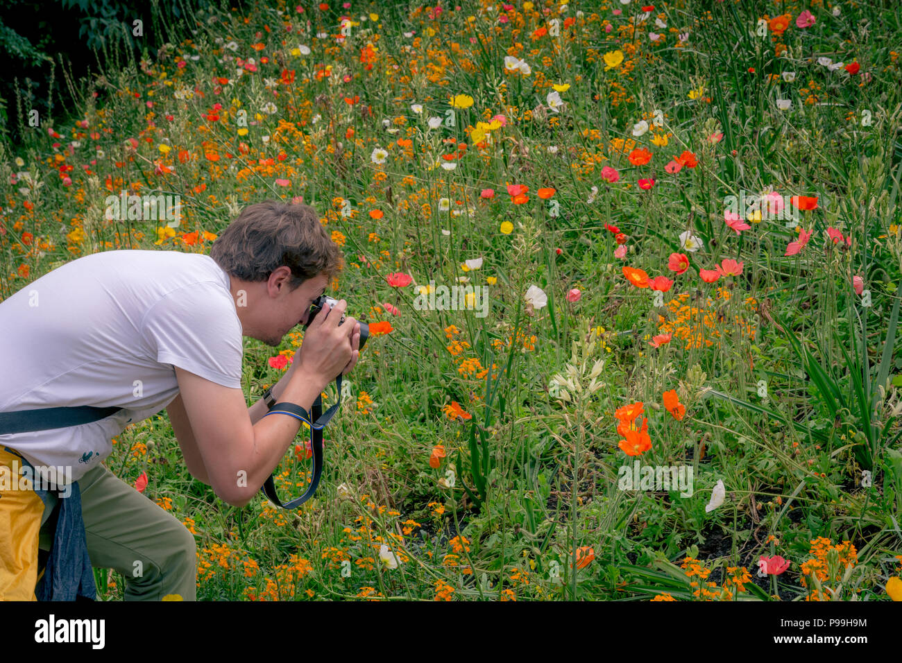 Garten Schloss Trauttmansdorff in Meran (Merano), Italien - Juni 27, 2018: ein Tourist mit der Kamera die Blüten der berühmte Botanische Garten von Mer zu schießen Stockfoto