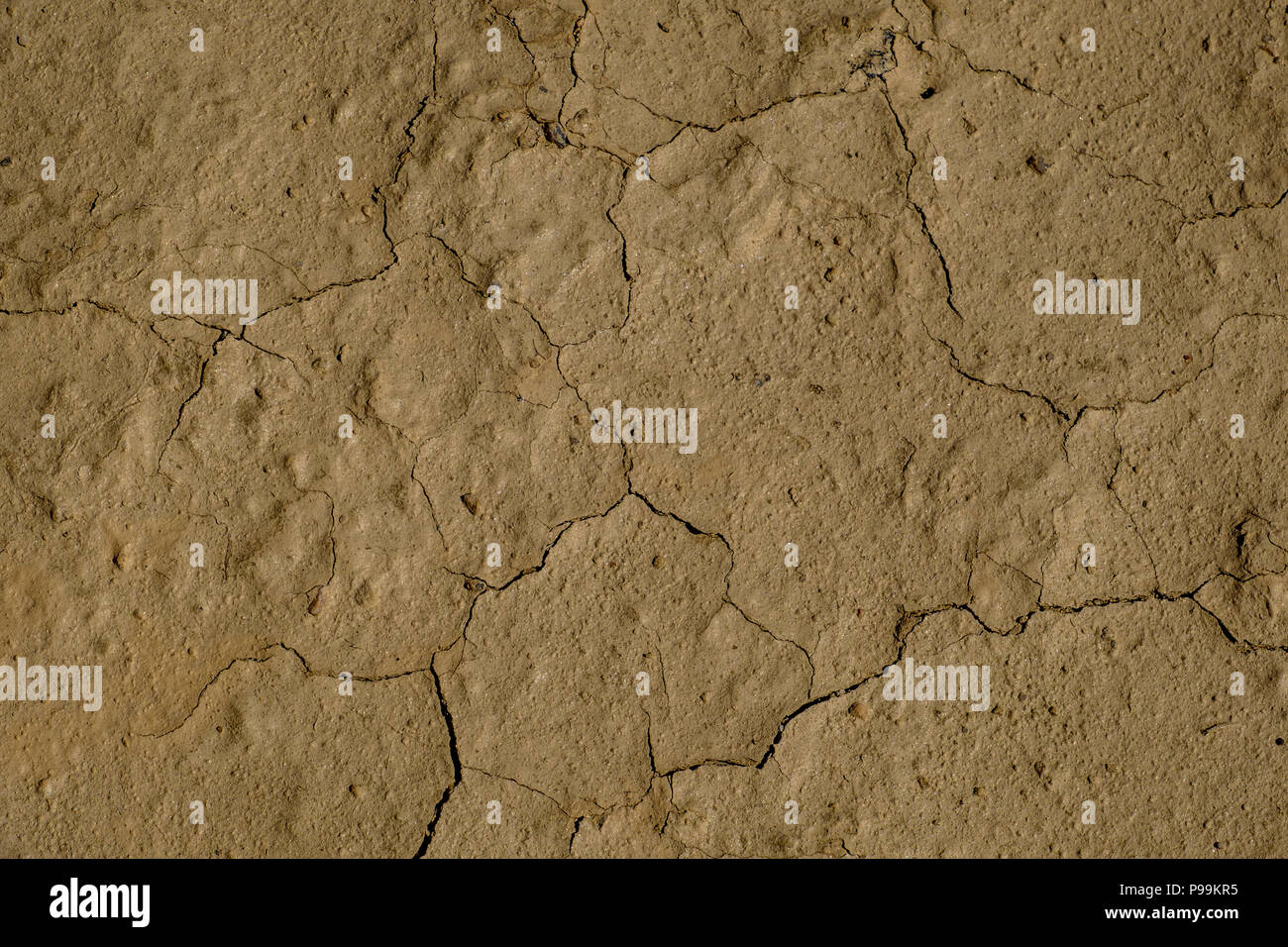 Risse und Muster der trockenen Namib Wüste in Namibia Stockfoto