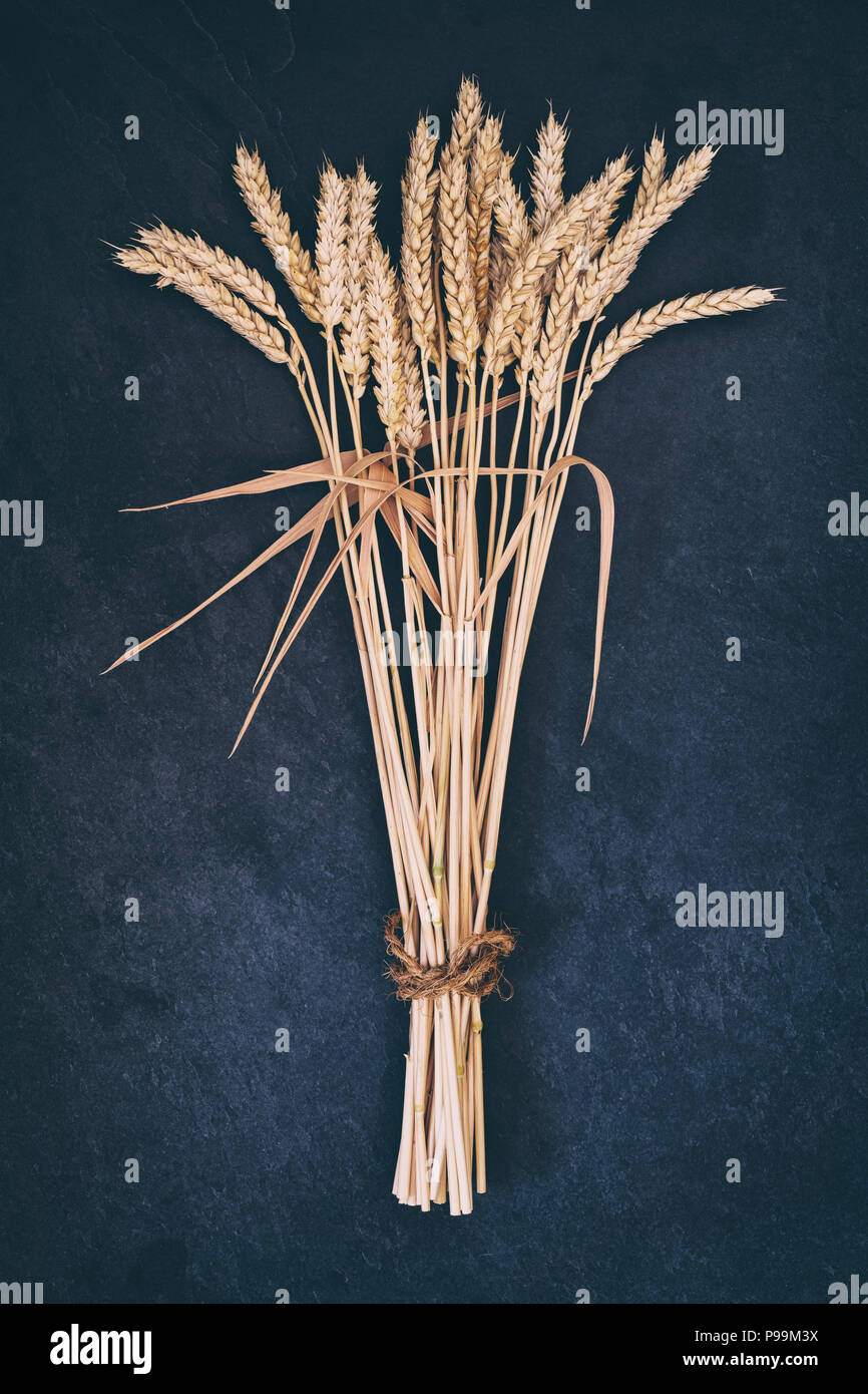 Reife Weizenähren auf einer Schiefertafel Hintergrund Stockfoto