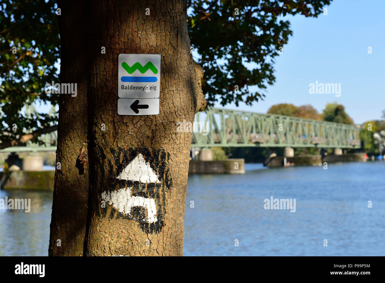 Deutschland, Nordrhein-Westfalen Wanderweg BaldeneySteig in Essen. Stockfoto