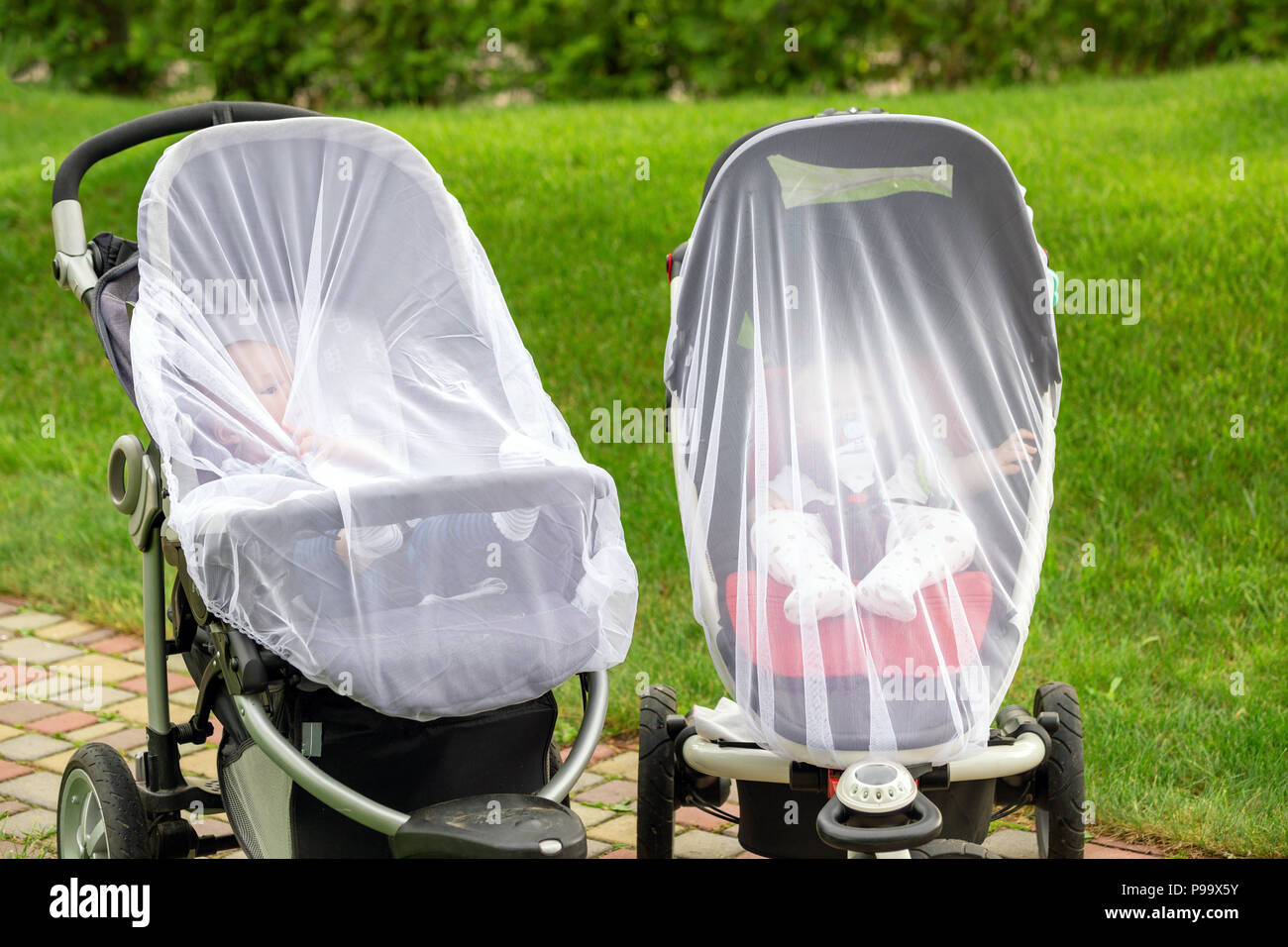 Zwei Kleinkinder Kinder im Kinderwagen mit schtzenden Netz whrend  Spaziergang abgedeckt. Kinderwagen mit Anti-mcken-Abdeckung. Midge-Schutz  fr Kinder duri Stockfotografie - Alamy