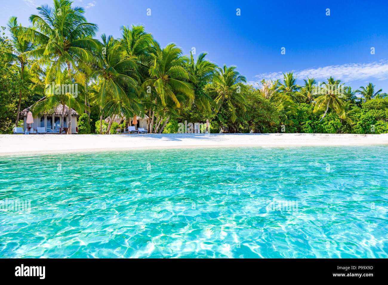 Perfekte tropische Landschaft. Weißer Sand blauer Himmel und Palmen. Stockfoto
