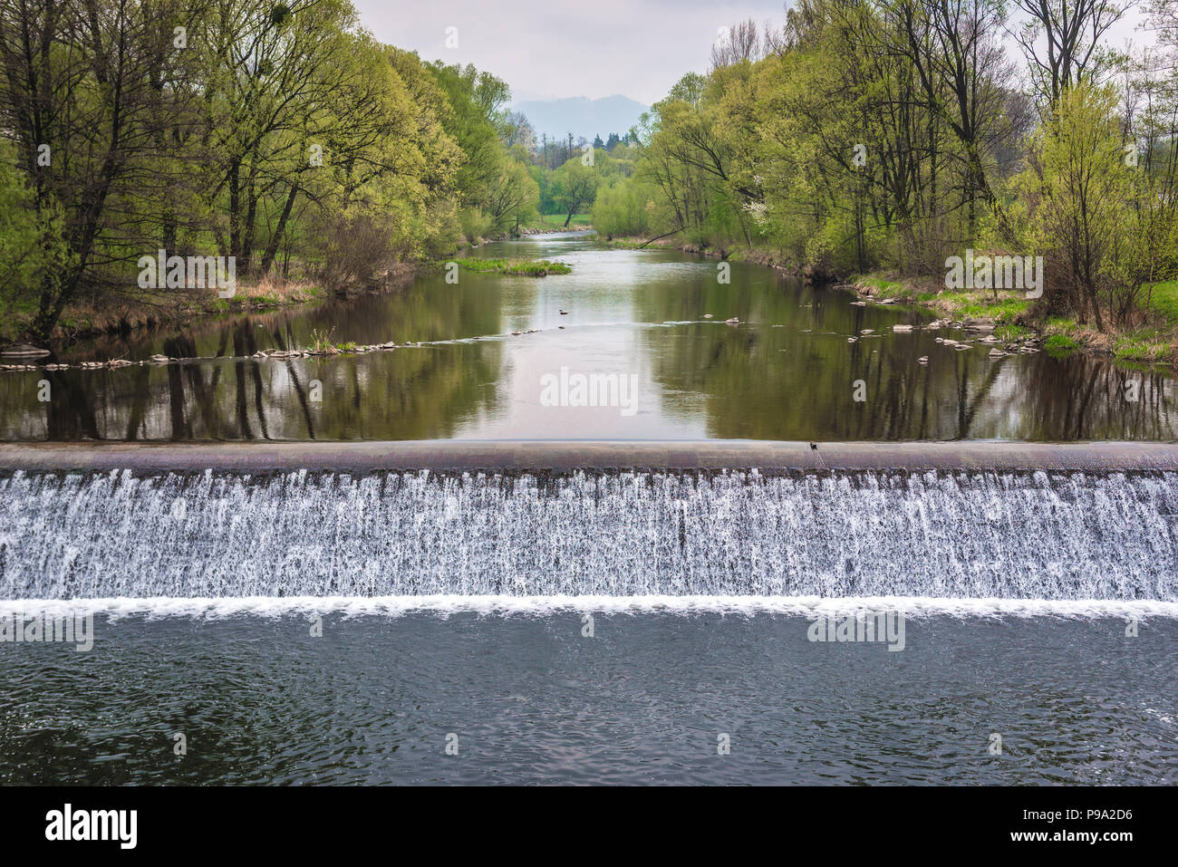 Ostravice Fluss im Ort Przno in der Mährisch-schlesischen Region im Mährisch-Schlesischen Beskiden in der Tschechischen Republik Stockfoto