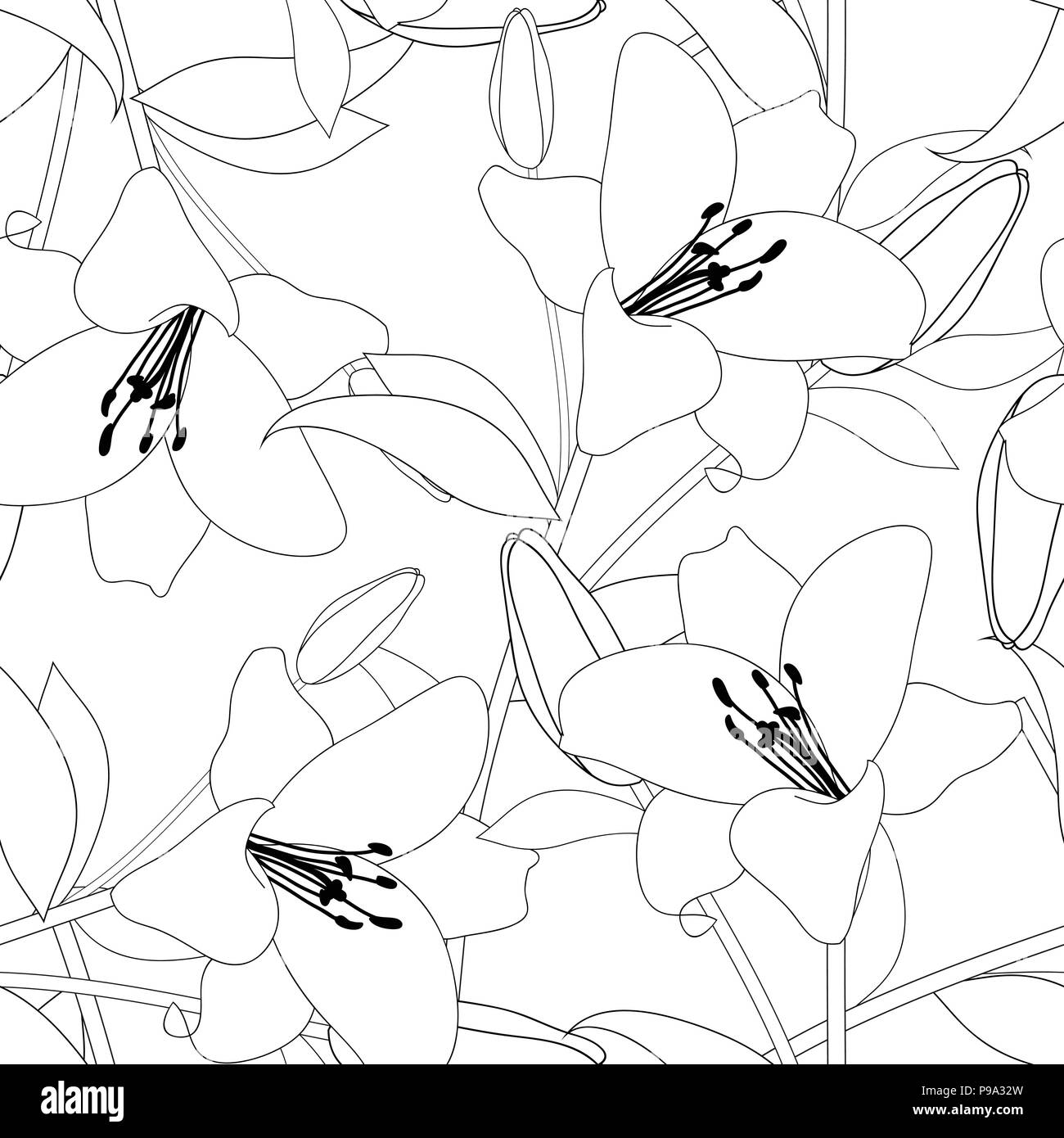 Lilium Candidum, die Madonnenlilie auf weißem Hintergrund. Vector Illustration Stock Vektor