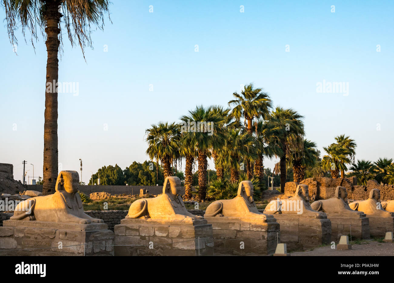 Sphinxallee, prozessionsweg Straße zwischen Tempel von Karnak und Luxor, Ägypten, Afrika mit menschlichen vorangegangen Sphinx Stockfoto