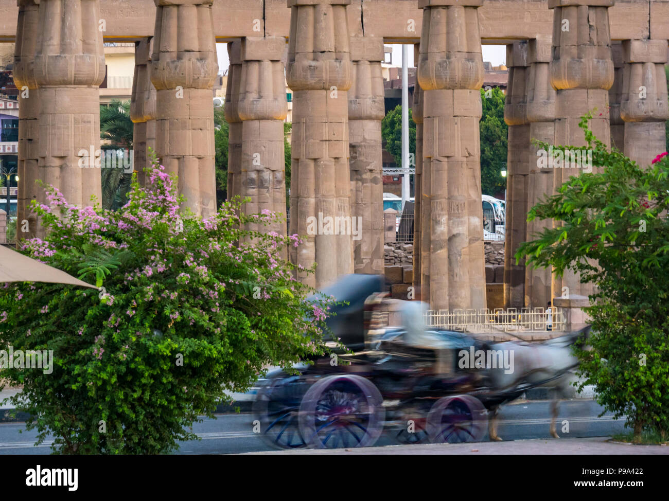 Absichtlich verschwommene Bewegung der Kutsche vor dem Tempel des Amon spalten, Tempel von Luxor, Luxor, Ägypten, Afrika Stockfoto