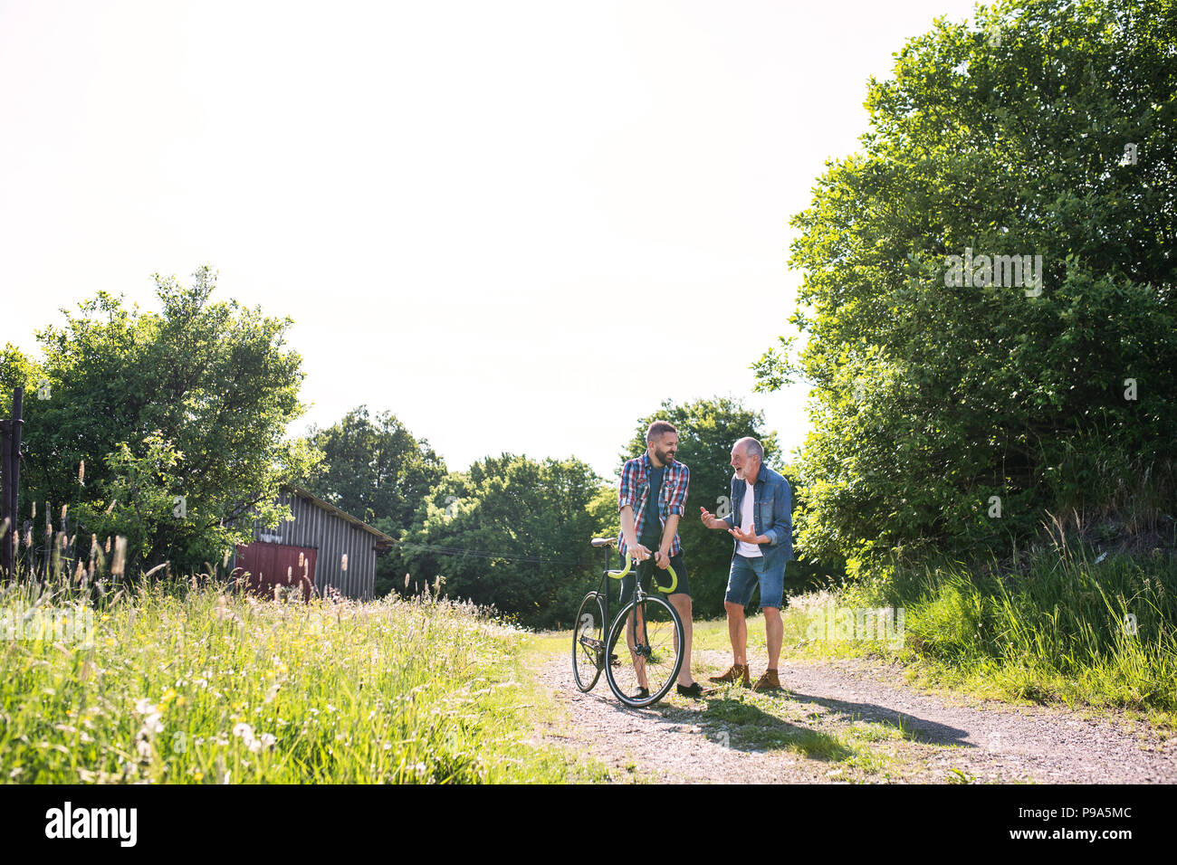 Ein erwachsener Sohn Hipster mit Fahrrad und Senior Vater wandern in sonnige Natur. Stockfoto