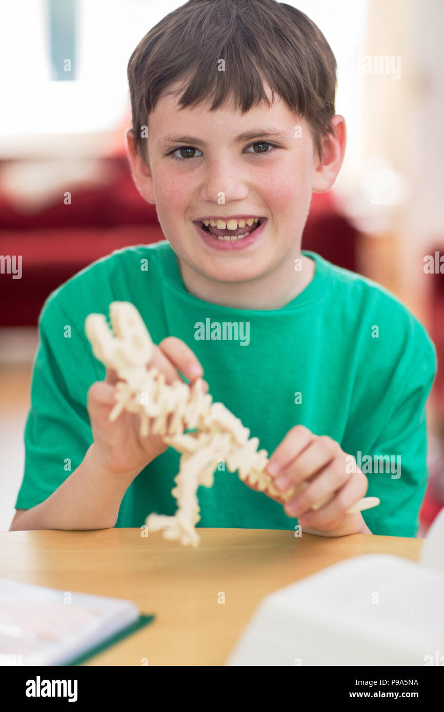 Porträt der jungen Making Modell Dinosaurier zu Hause Stockfoto