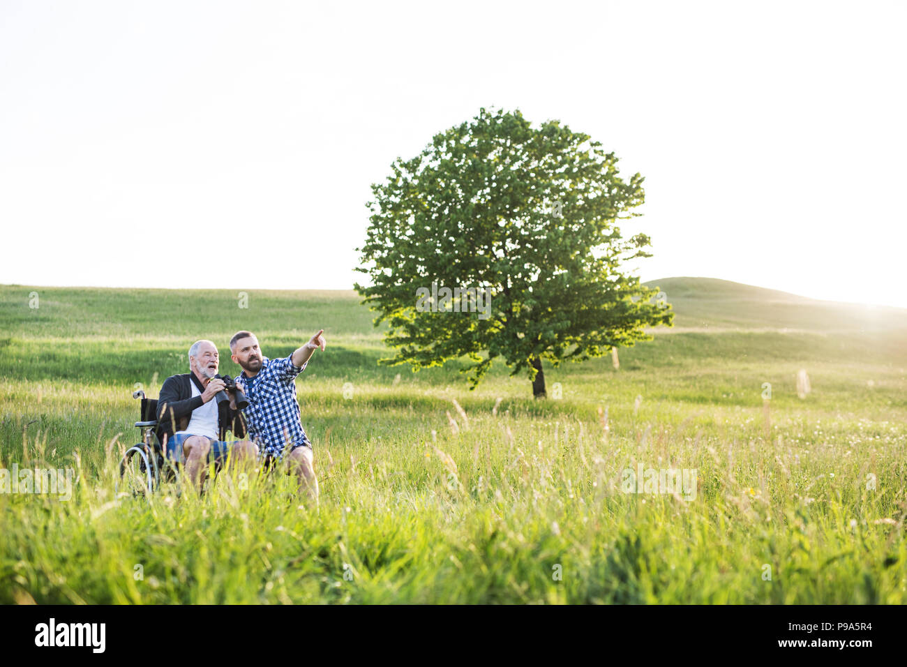 Ein erwachsener hipster Sohn mit dem Vater im Rollstuhl auf einen Spaziergang in der Natur bei Sonnenuntergang, lachen. Stockfoto