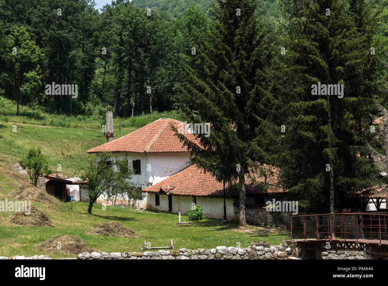 Herrliche Aussicht auf den mittelalterlichen Poganovo Kloster des Hl. Johannes des Theologen, Serbien Stockfoto