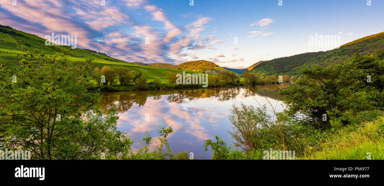 Panoramablick auf die Mosel in Deutschland bei Sonnenuntergang im Frühling Stockfoto