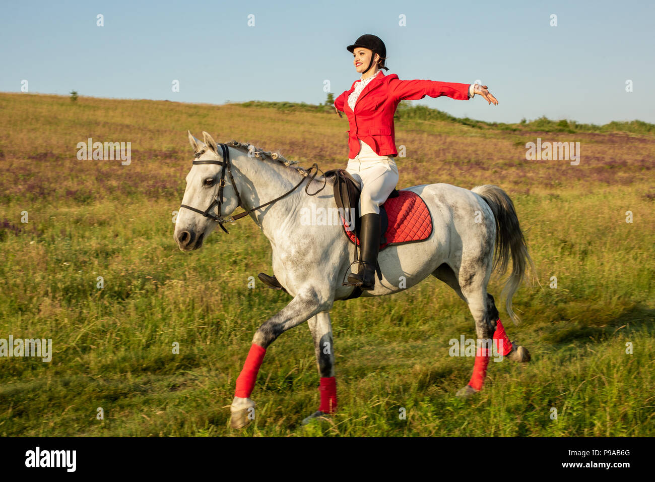 Die Reiterin auf einem roten Pferd. Reiten. Pferderennen. Reiter auf