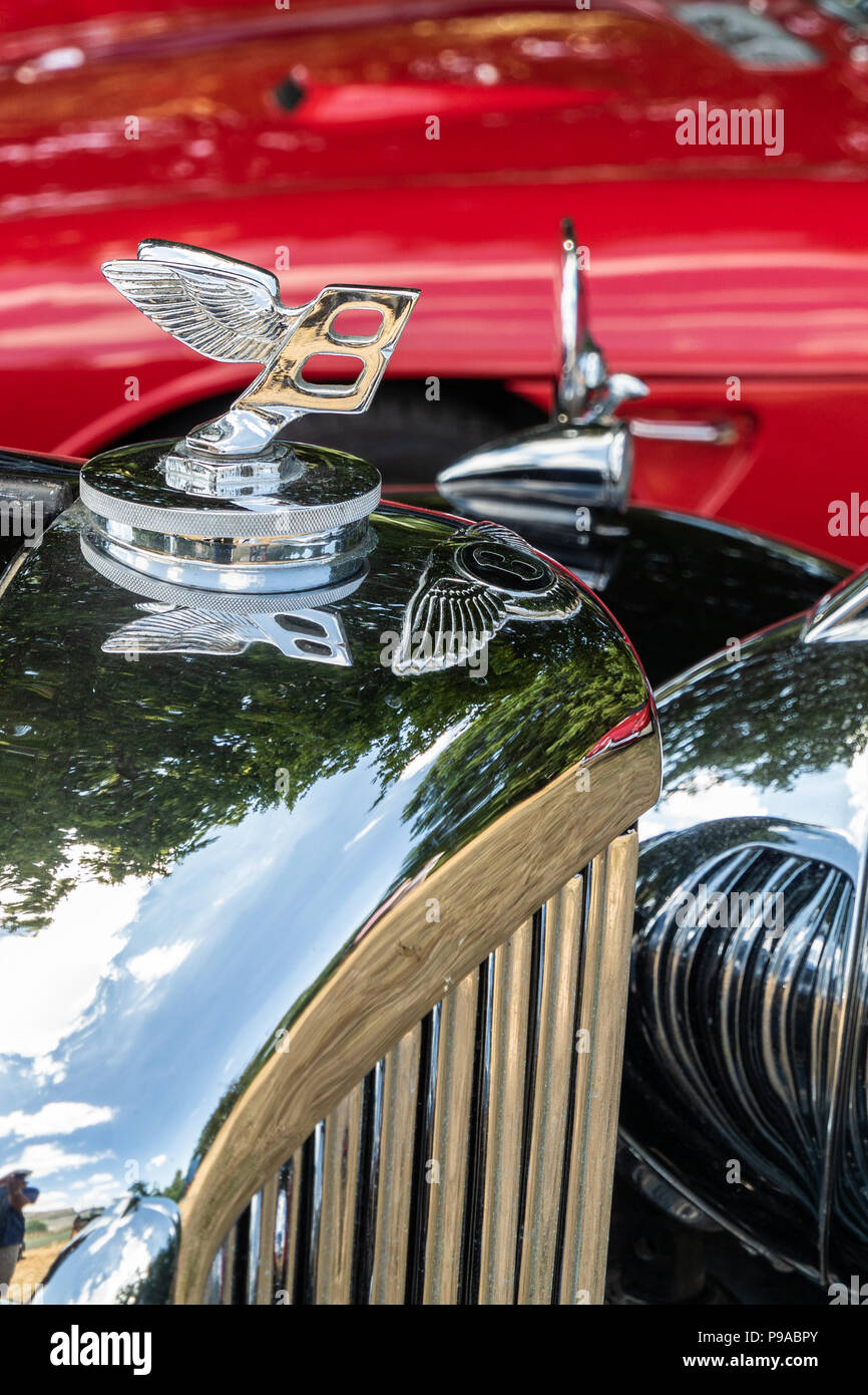 Bentley Flying B Maskottchen Stockfoto