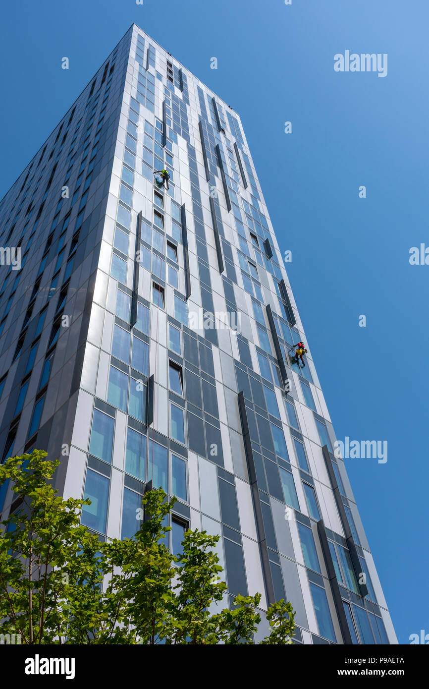 Fensterreiniger auf einer der X1 MediaCity apartments Bausteine. Salford Quays, Manchester, UK. Stockfoto
