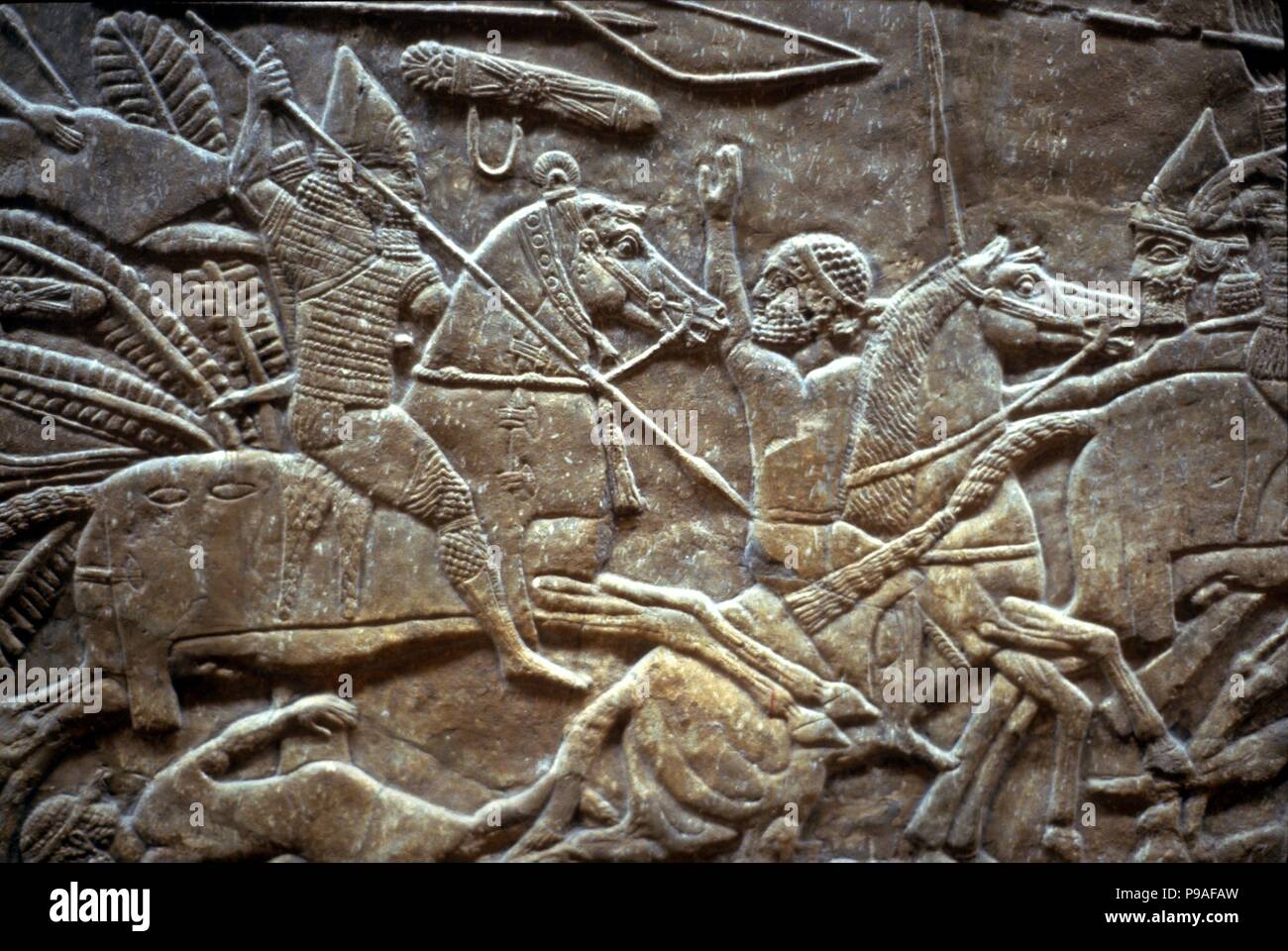 Assurbanipal in der Schlacht von Til-Tuba. Museum: Staatliche Eremitage, St. Petersburg. Stockfoto