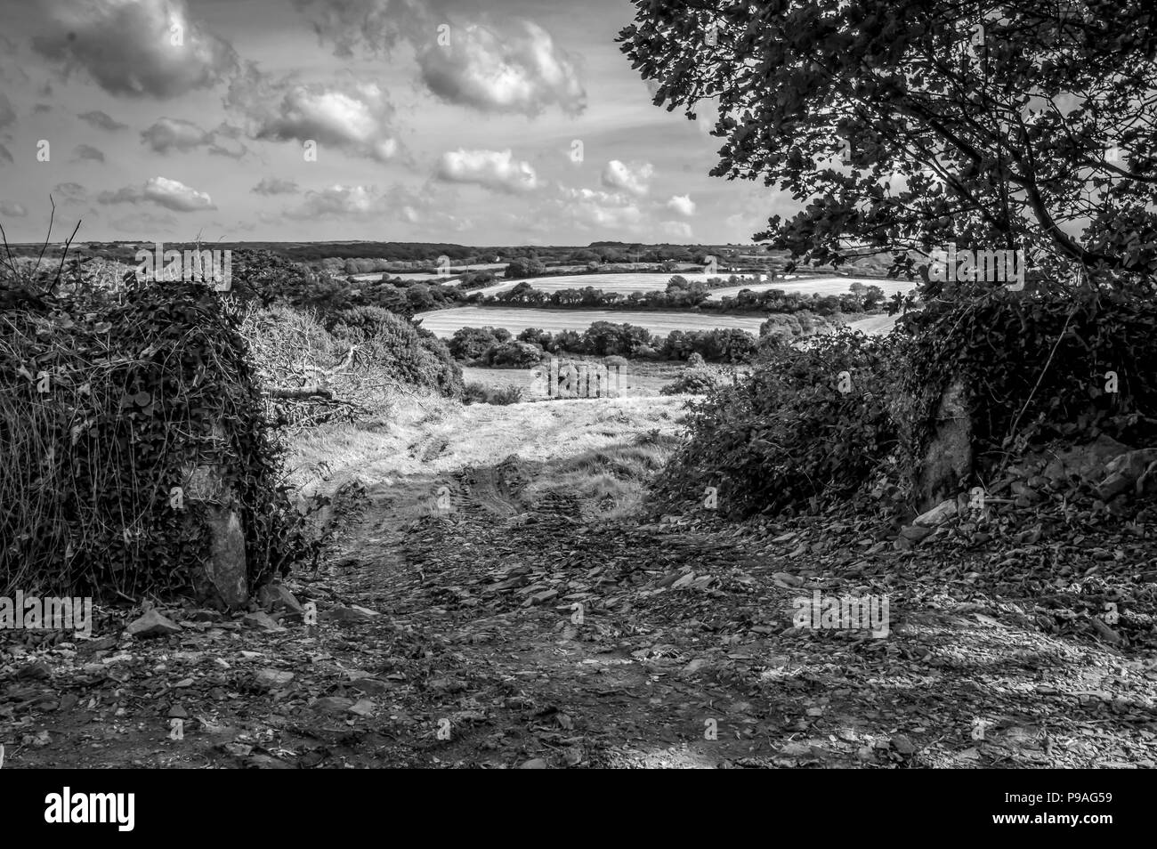 Schwarze und weiße Wolken über Cornwall Stockfoto