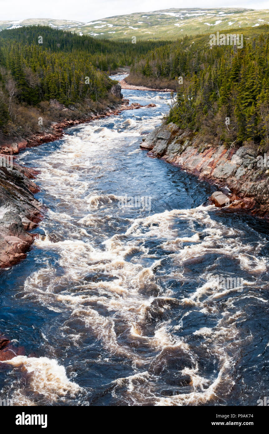 Die Pinware River fließt durch die Pinware River Provincial Park im südlichen Labrador, Kanada. Stockfoto