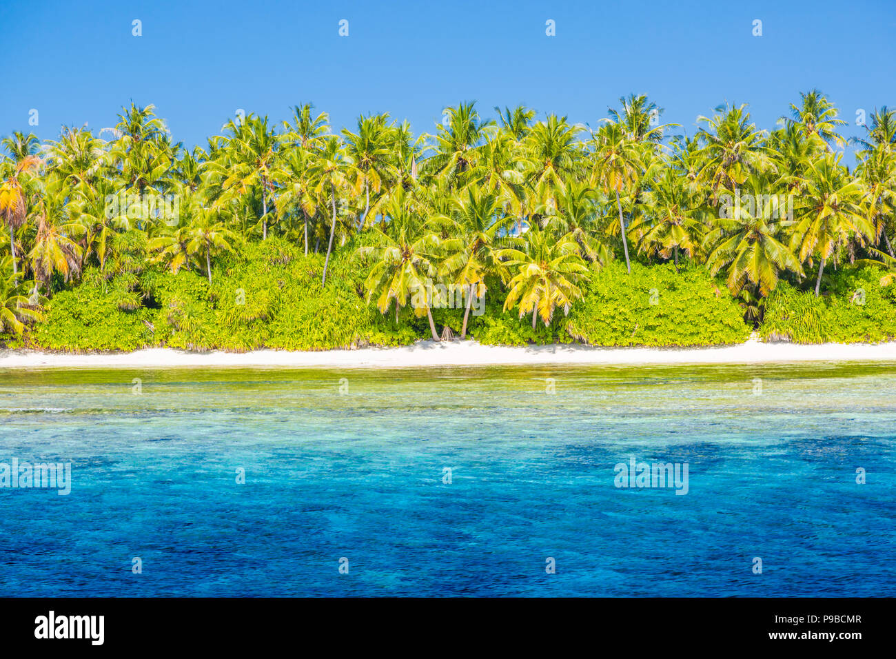 Fantastische tropische Insel. Blaues Meer und Palmen und blauem Meer mit erstaunlichen türkisfarbenen Lagune Stockfoto