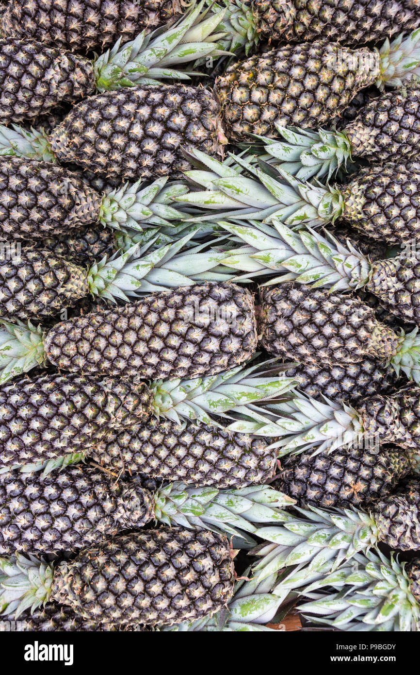 Pará, Brasilien. Nahaufnahme von Ananas am Street Fair in Amazon ausgesetzt. Stockfoto