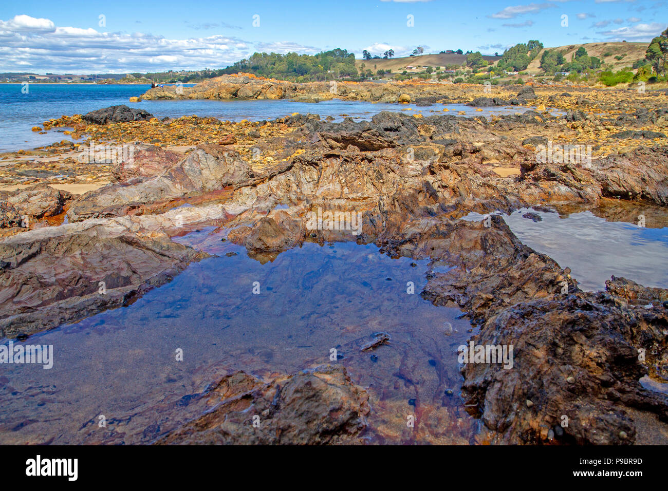 Die Bass Strait Küste bei Penguin Stockfoto