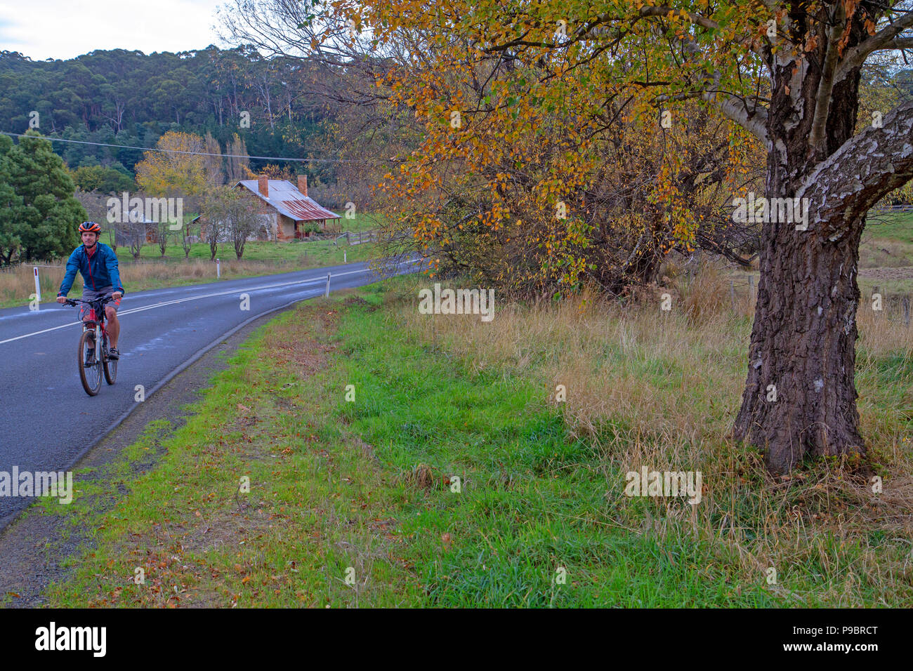 Radfahren auf der Tasman Halbinsel im Herbst Stockfoto