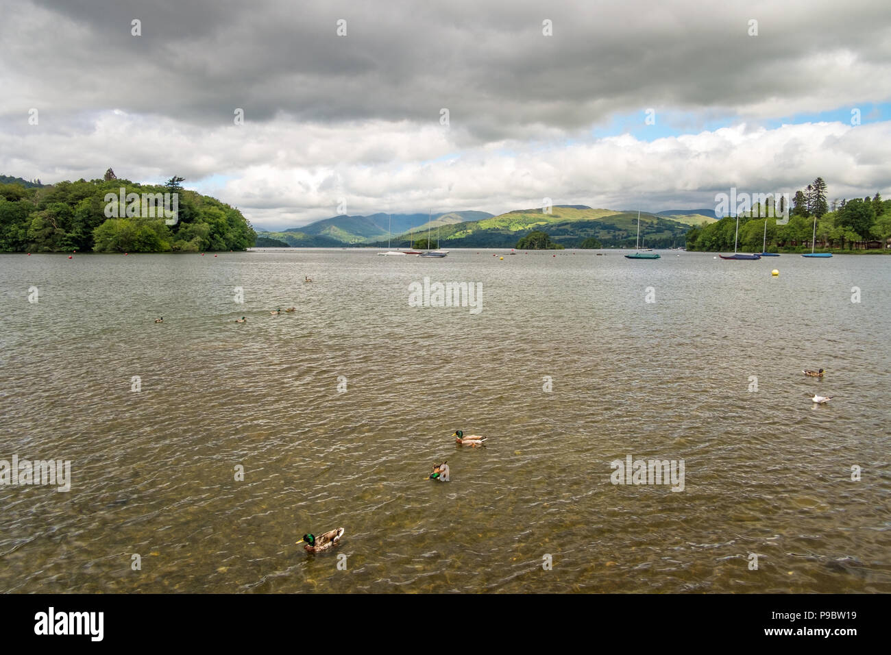 Bowness-on-Windermere Cumbria Großbritannien. Stockfoto